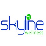 Skyline Wellness Center - Chiropractors in Alexandria