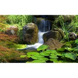 Hybla Valley Nursery - Landscape Architects in Alexandria