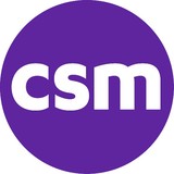 The Center For Systems Management Inc - Business Consulting in Vienna