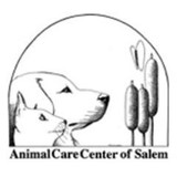 Noel Kimberly DVM - Veterinarians/Vets in Salem
