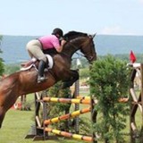 Foxroc Stables - Other in Purcellville