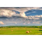 Farms & Acreage Inc - Other in Oakton