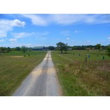 Morning Mist Farm, Inc - Other in Berryville