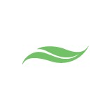 Slow Yoga - Yoga in Leesburg
