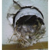 Z Finest Airduct Cleaning - Manufacturer in Woodbridge