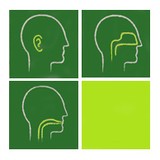 Fauquier Ent - Doctors in Warrenton
