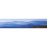 Dark Mountain Innovations LLC - Business Consulting in Haymarket