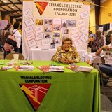 Triangle Electric Corp - Other in Ridgeway