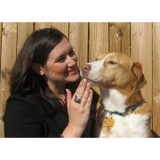 Doodlebug Dog Walker LLC - Other in Bristow