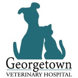 Handley Nancy E DVM - Veterinarians/Vets in Charlottesville