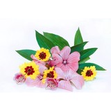 All Fired Up - Other in Forest