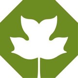 Thomas Jefferson's Poplar Frst - Other in Forest