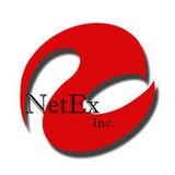 Netex Inc - Business Consulting in Vienna