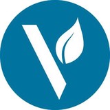 Vineyard Community Church - Churches in Virginia Beach