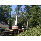 Mark Tuttle Tree Svc - Other in Powhatan