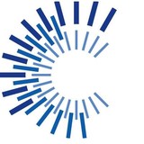 Cfo Solutions Inc - Business Consulting in Vienna