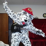 Detech Inc - Business Consulting in Hamilton