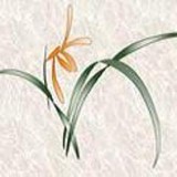 Health Advantage Yoga Center Inc - Yoga in Herndon