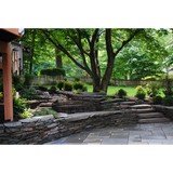 Professional Grounds - Landscaping in Lorton