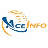 Ace Info Solutions Inc - Software Development in Herndon
