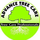 Advance Tree Care Corporation - Tree Services in Virginia Beach