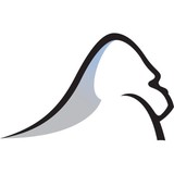 Silverback Strategies - Marketing in Alexandria