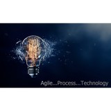 Adeptus Solutions Inc - Business Consulting in Herndon