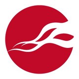 Intrepidus Group Inc - Business Consulting in Chantilly