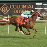 Colonial Downs Martinsville - Other in Ridgeway