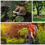 Dailon Marquez Landscaping - Landscape Architects in Woodbridge