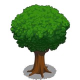 J C Tree Care & Construction,Inc - Tree Services in Front Royal