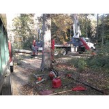 Brad's Tree Service - Tree Services in Gloucester