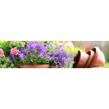 Coenen Landscape & Design Inc - Landscape Architects in Newport News