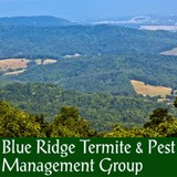 Blue Ridge Termite & Pest - Pest Control in Charlottesville