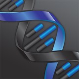 Epl Pathology Archives Inc - Business Consulting in Sterling