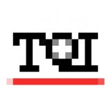 Tqi Solutions Inc - Business Consulting in Norfolk