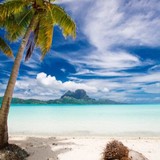 Palm Tree Restaurant - Restaurants in Hampton