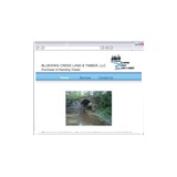 BLUEWING CREEK LAND & TIMBER, LLC - Other in South Boston