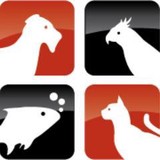 Care A Lot Training - Pet Stores in Virginia Beach