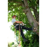 Manassas Tree Service - Tree Services in Manassas