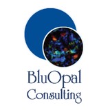 Bluopal Consulting LLC - Business Consulting in Alexandria