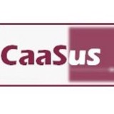 Caasus LLC - Business Consulting in Fairfax