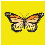 Reliance Pest & Termite Inc - Pest Control in Chesapeake