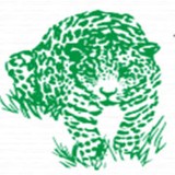 Top Line Jaguar - Car Dealers in Springfield