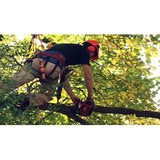 Santa Elena Tree Services LLC - Tree Services in Falls Church