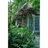 Village Garden Ctr-Lndscp Service - Other in Fishersville