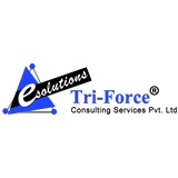 Tri-Force Consulting Services Inc - Business Consulting in Alexandria
