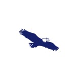 Eagle Aeronautics Inc - Business Consulting in Newport News