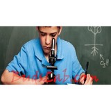 Budslab LLC - Web Design & Development in Sterling