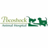 Pocoshock Animal Hospital - Veterinarians/Vets in Richmond